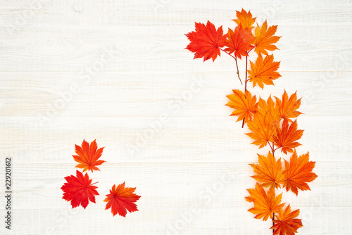 Faded autumn leaves on white wooden background.