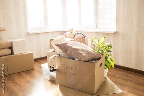 Picture of overfull box. There are different clothes, stuff and other things in it. Also these is a green domestic plant behind the box. These things stands near window in a bright room. photo