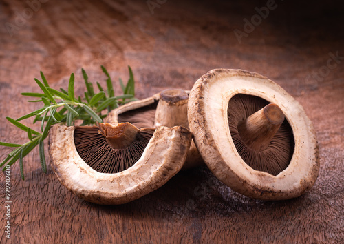 portobello mushrooms over old wood background photo
