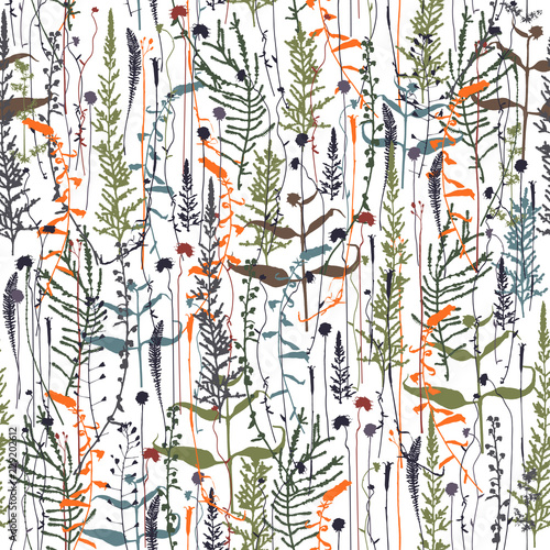 Vector silhouettes collection. Set of field flowers, herbs. Element of seamless pattern. Paper design. Print element.