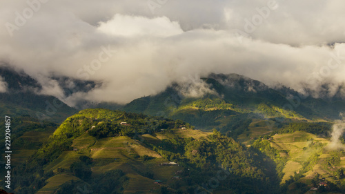 Morning sunshine with mountain views and golden rice fields.