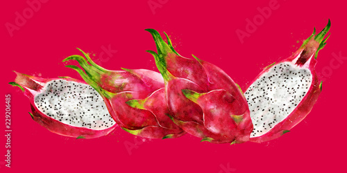 Dragon Fruit on red background. Watercolor illustration