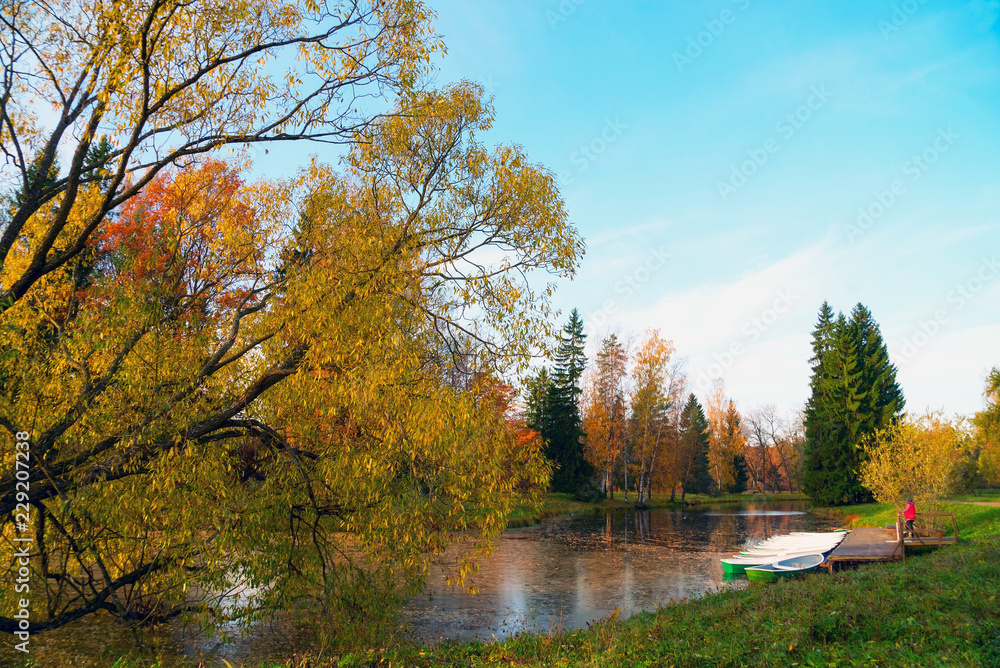 Pier with boats on the pond . Autumn landscape in the early morning.