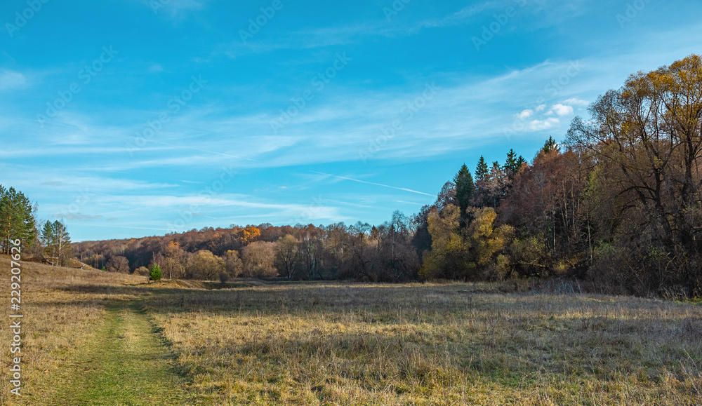 Fototapeta premium Indian summer 