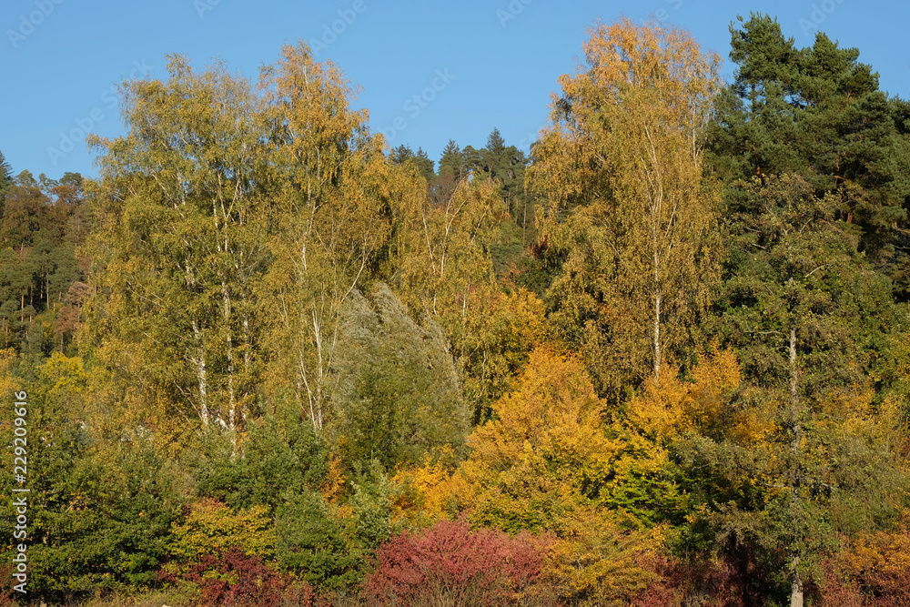 Landschaft in Bayern Landschaft in Bayern