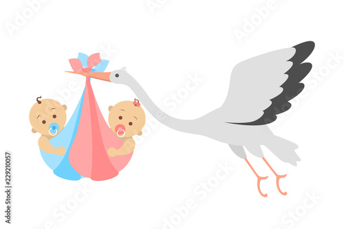 White stork flying with a newborn baby twins
