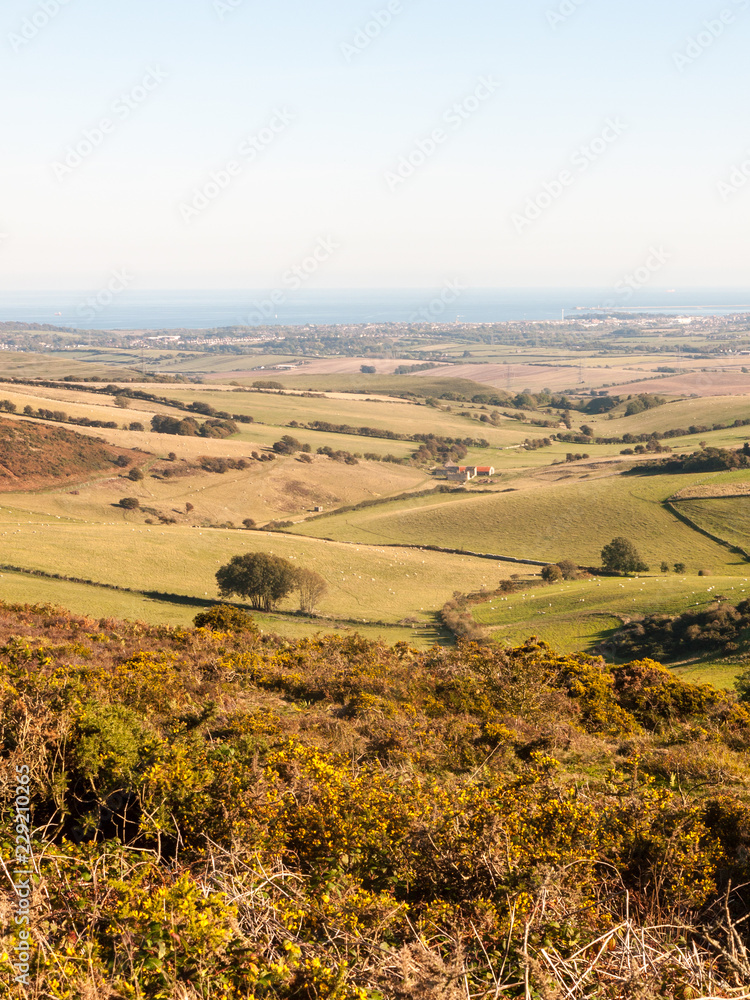 Fototapeta premium hardy monument tall building old special england dorset black down countryside nature landscape