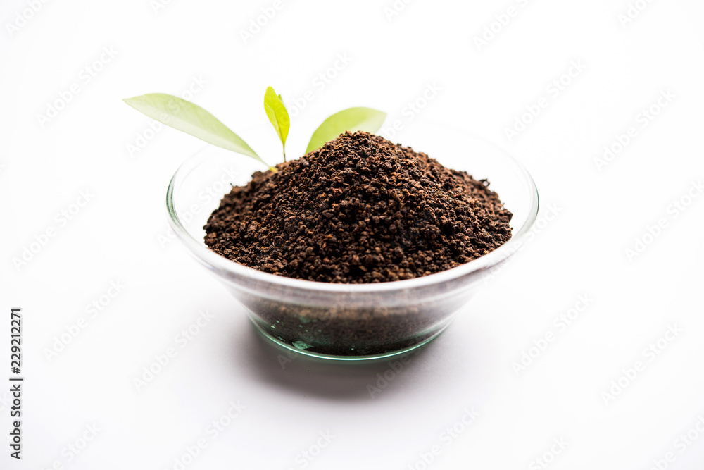 Black Tea Powder or dry dust with or without green leaf and served hot chai in a cup Black Tea Powder or dry dust with or without green leaf and served hot chai in a cup