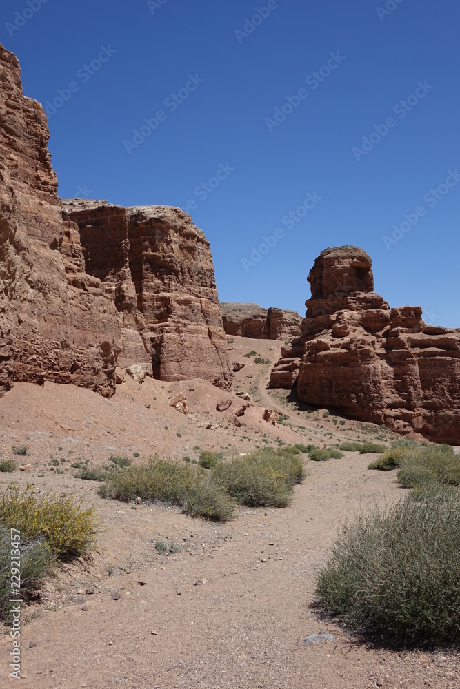 Fototapeta premium Charyn Canyon
