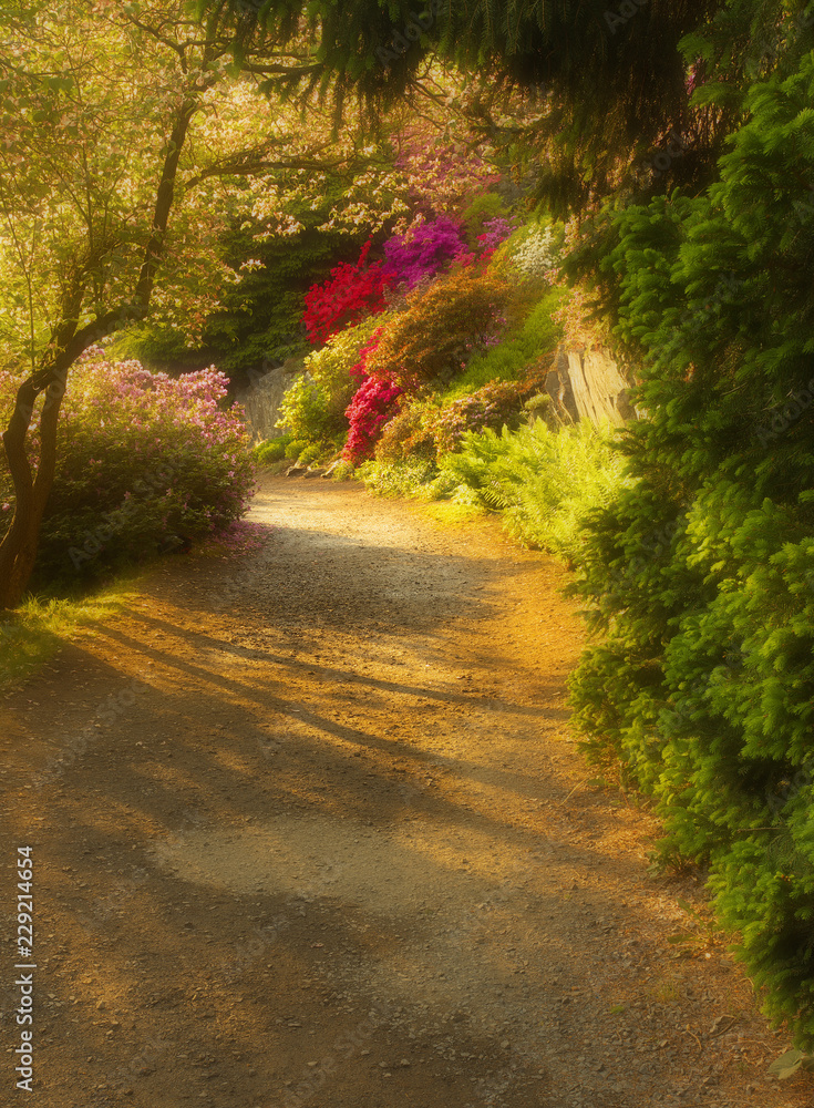 Way with shades in the well-tended garden with color flowers, version with a soft filter Way with shades in the well-tended garden with color flowers, version with a soft filter