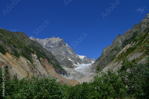 view of the glacier with trees in the foreground and clear blue sky