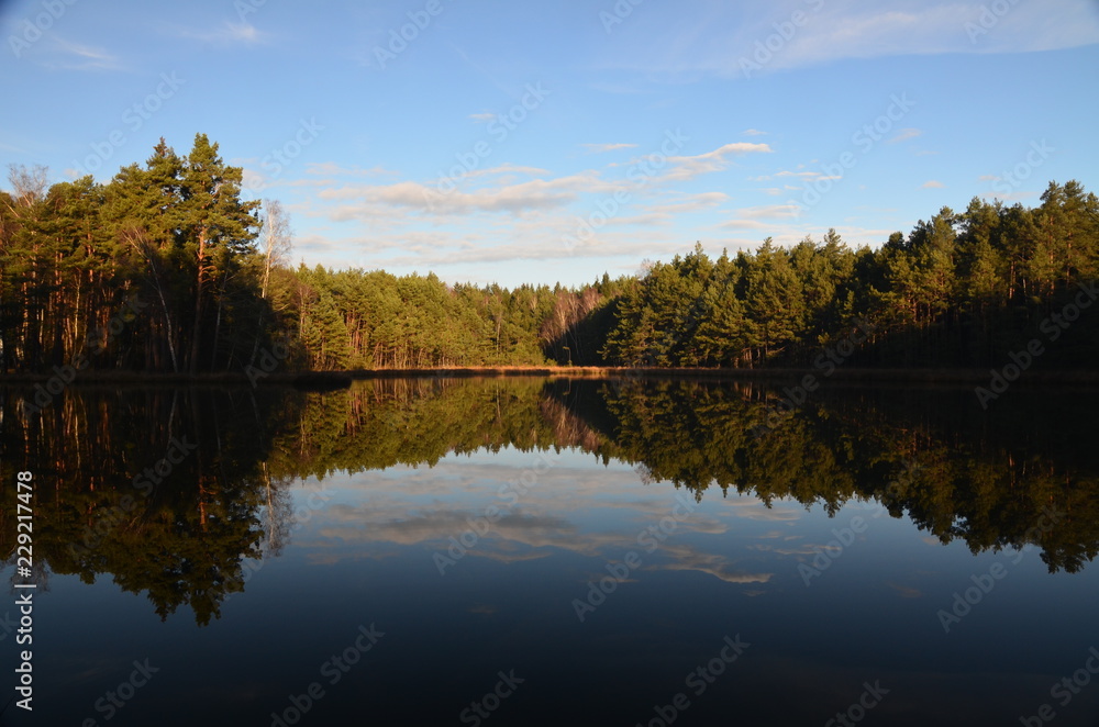 Spiegelung am See, mit Bäumen