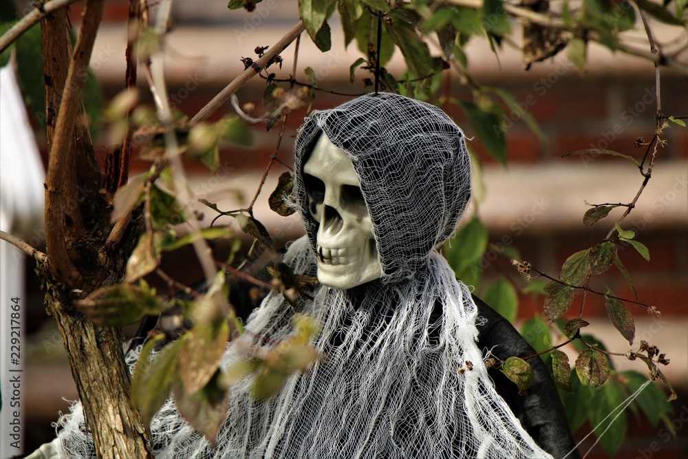 Obraz premium scarecrow in garden
