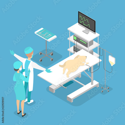 Veterinary clinic examination room interior. Animal treatment.