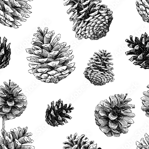 Fototapeta Naklejka Na Ścianę i Meble -  Seamless pattern of sketches of fir cones