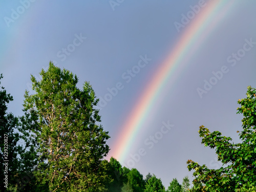 Rainbow in the blue sky, trees