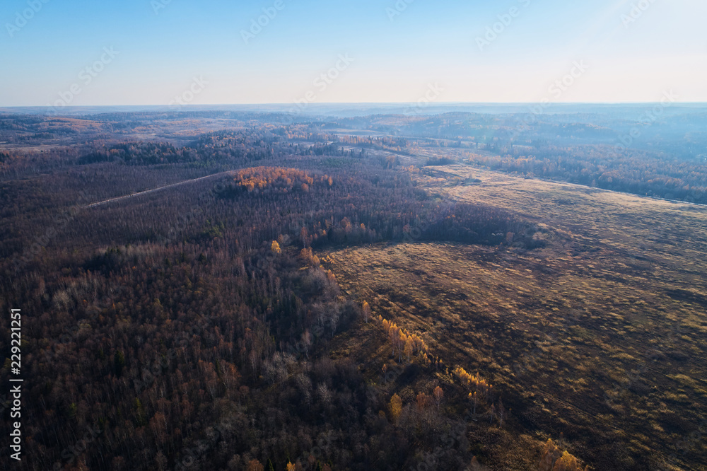 Autumn forest with a road. High-altitude shooting from a drone. Autumn forest with a road. High-altitude shooting from a drone.