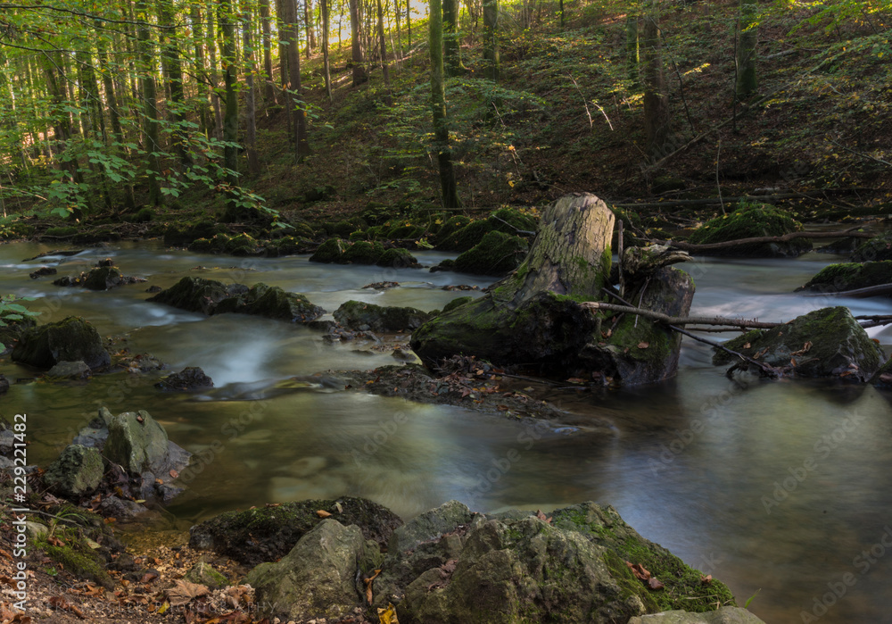 small river in an austrian forest small river in an austrian forest