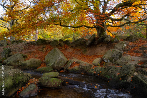 Padley Gorge in autumn, beautiful colours of the Peak District