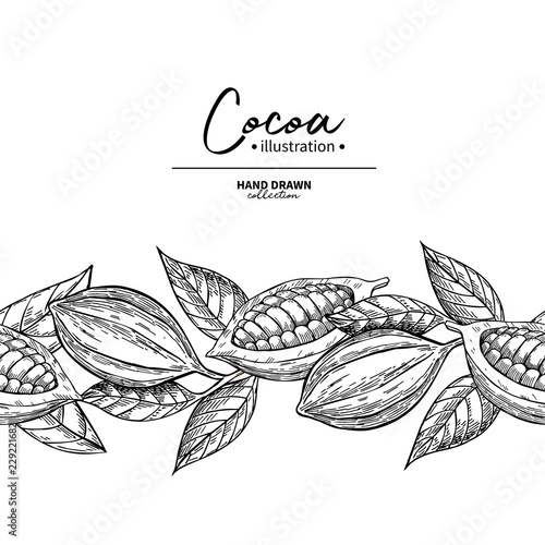 Cocoa border. Vector superfood drawing template.  Fruit, leaf an