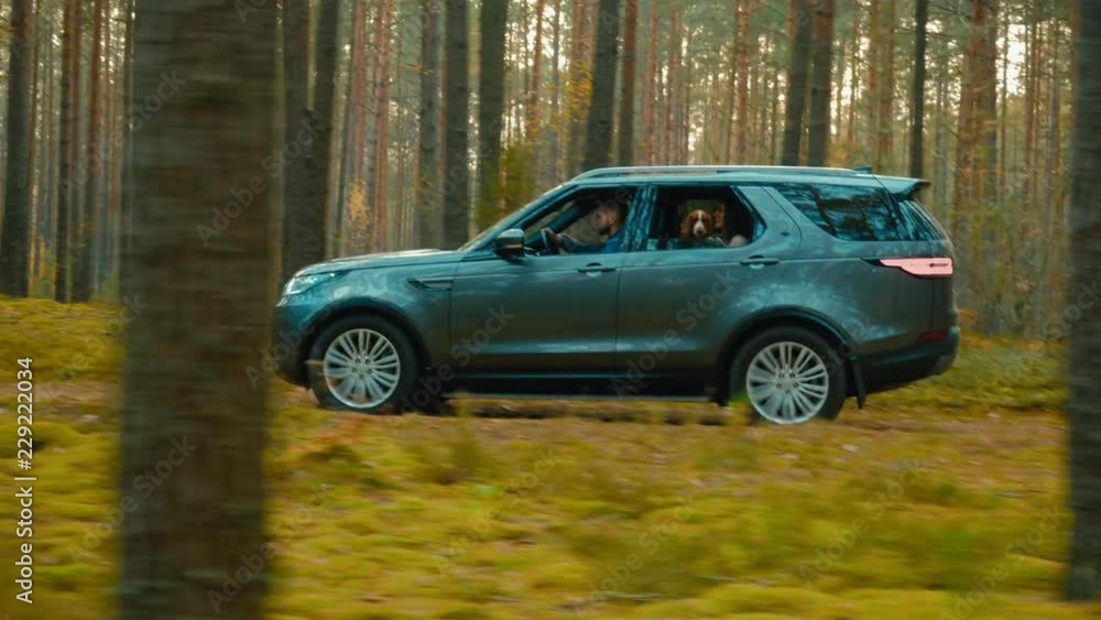 TRACKING Caucasian couple with a pet dog driving on a forest road in a modern SUV. 4K UHD TRACKING Caucasian couple with a pet dog driving on a forest road in a modern SUV. 4K UHD