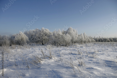 Зима/Winter