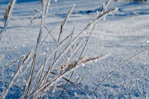 Wallpaper Mural Зима/Winter Torontodigital.ca
