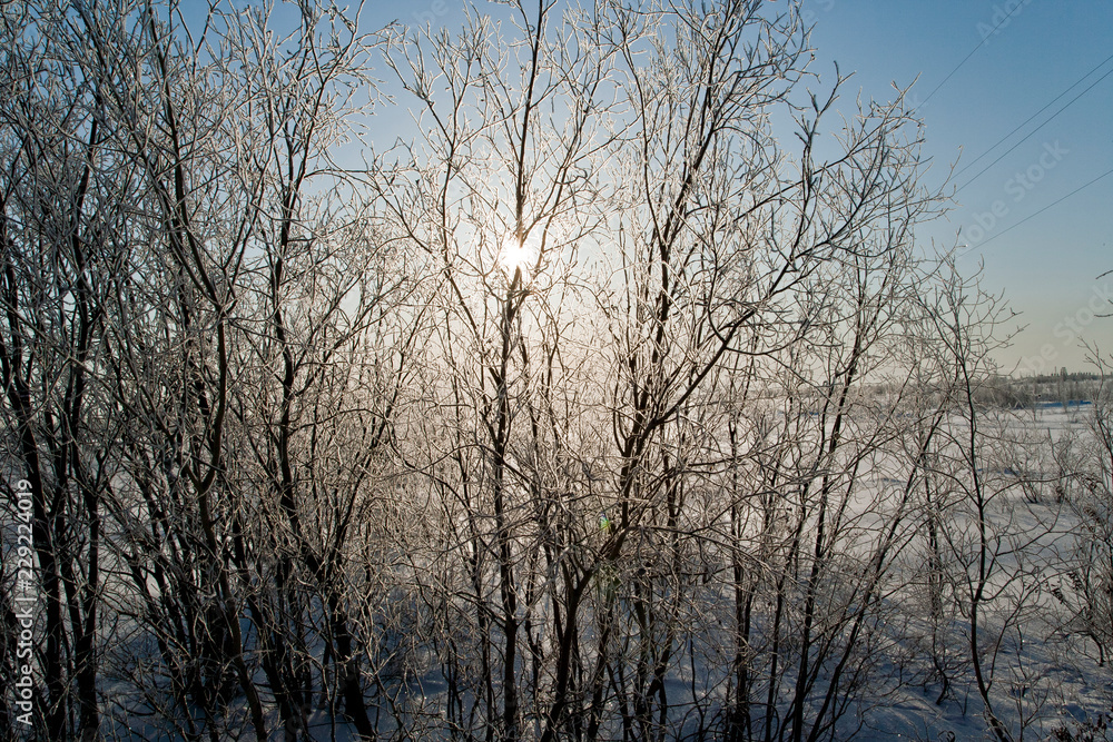 Зима/Winter Зима/Winter