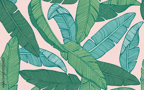 Seamless tropical pattern with banana leaves. Hand drawn vector illustration