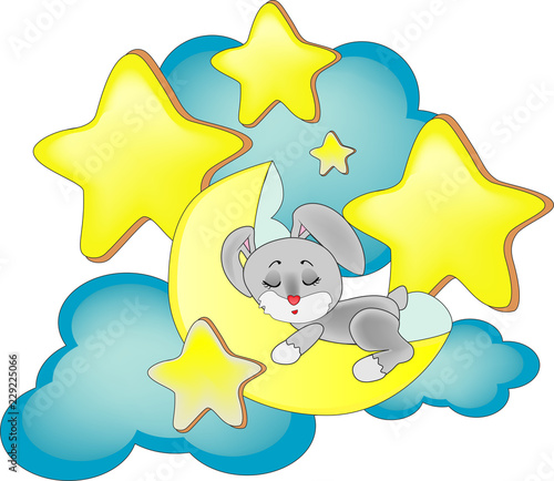 
Sleeping rabbit in the cradle
