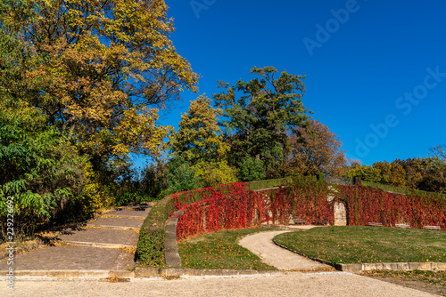 Palaisgarten in Dresden im Herbst 