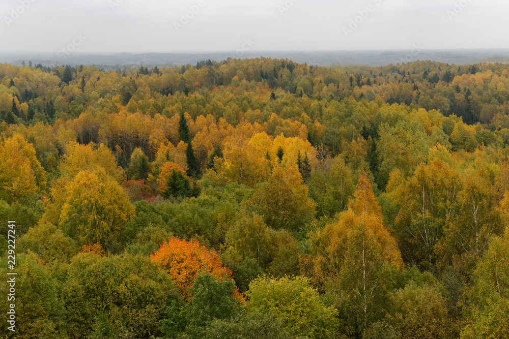 Baltic autumnal landscapes