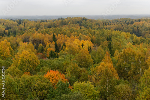 Baltic autumnal landscapes