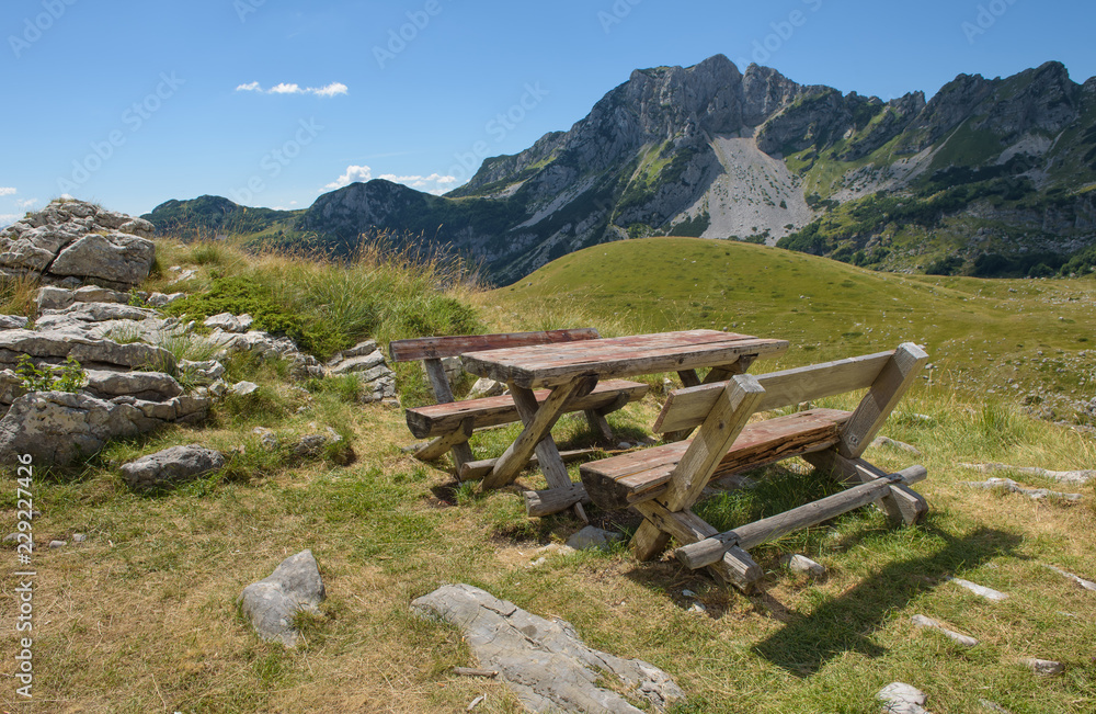 Wooden bench in the national park