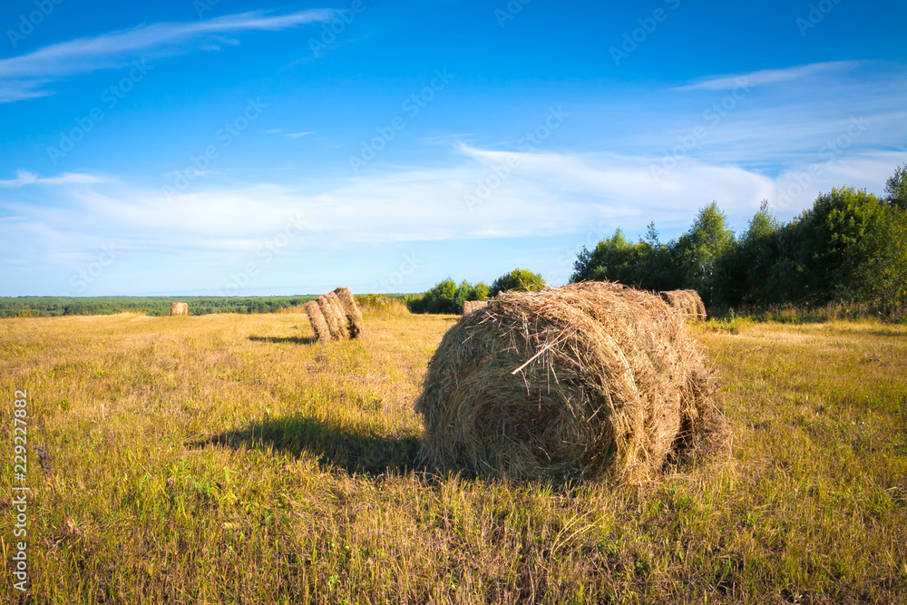 Beautiful autumn landscape with hay sheaves on the field