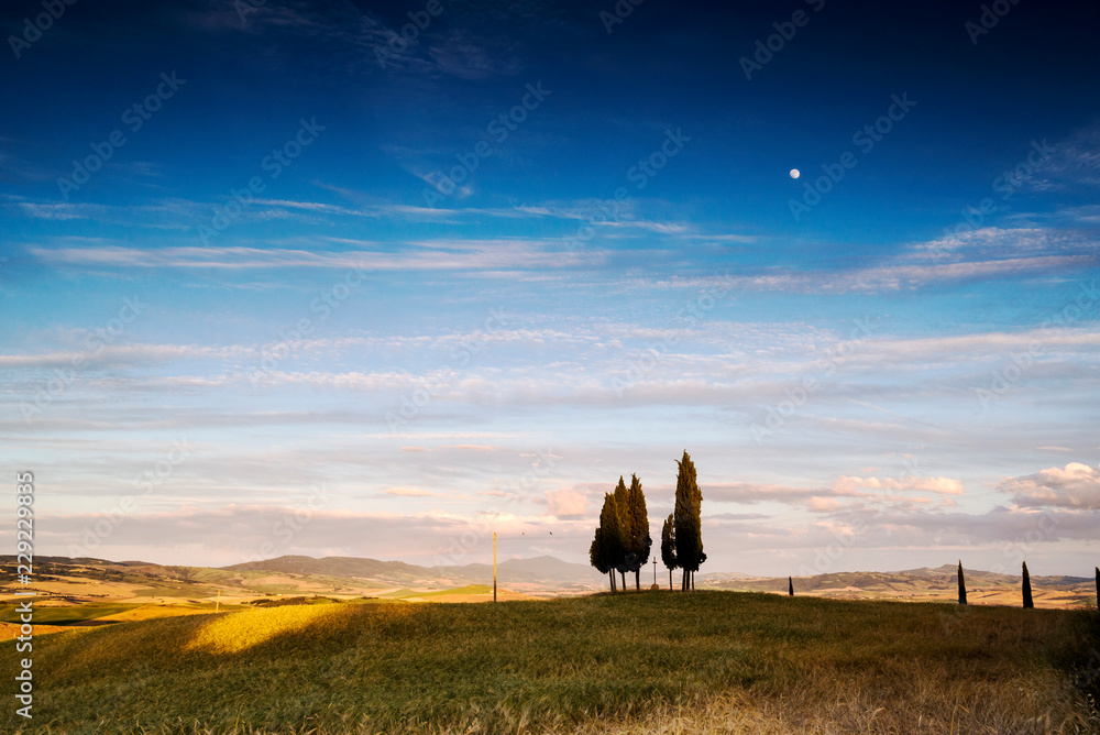 Fototapeta premium Toskania 29