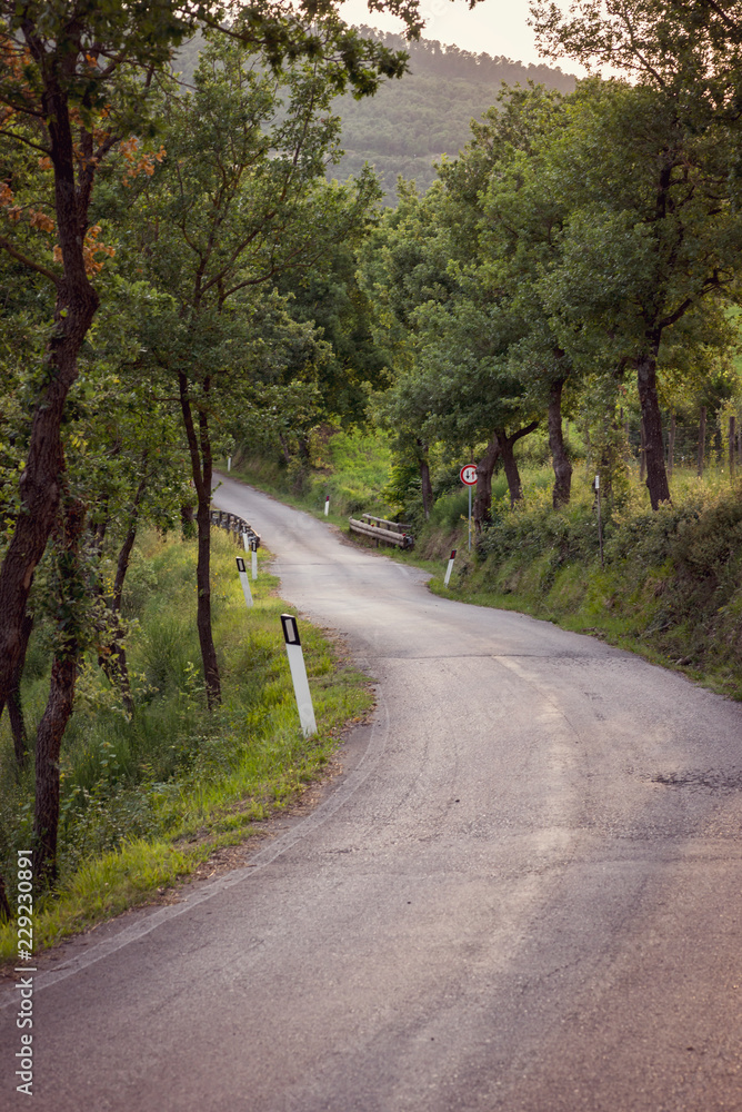 Obraz premium Toskania 12