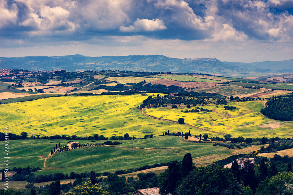 Obraz premium Toskania 2