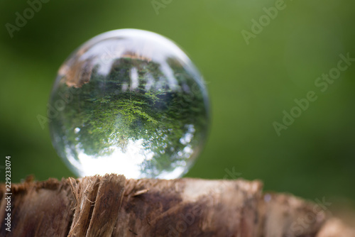 Glaskugel im Wald photo