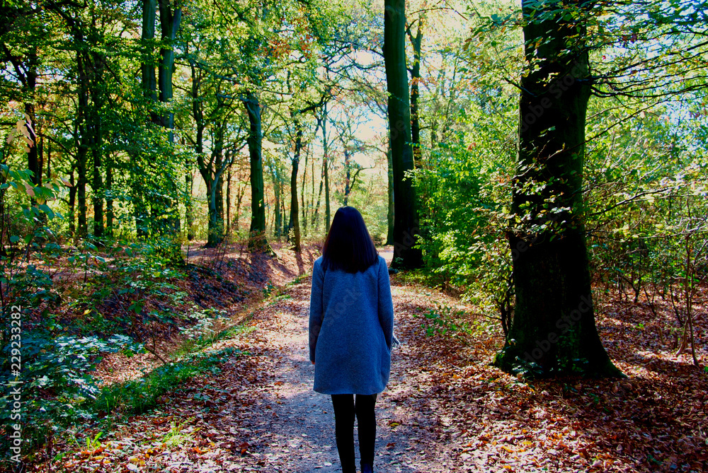 a beautiful woman takes a walk through the leaves in the forest of Duisburg in Germany a beautiful woman takes a walk through the leaves in the forest of Duisburg in Germany