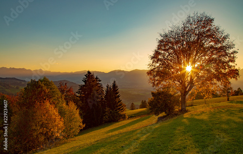 Allg  u - Herbst - Sonne - Alpen - Traumhaft