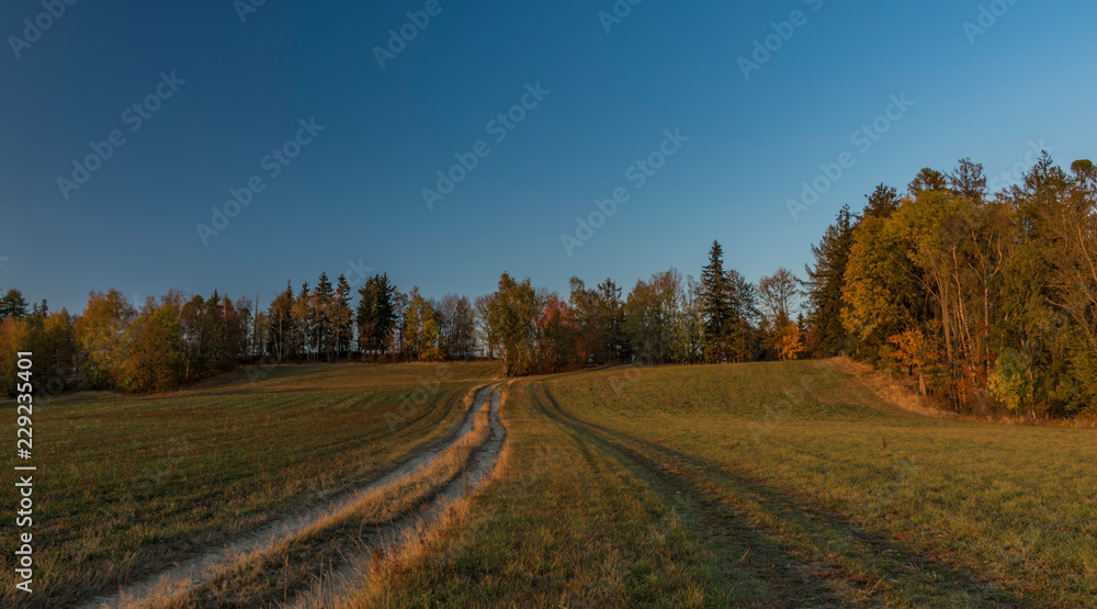 Autumn in Krkonose national park near Roprachtice village with path to forest