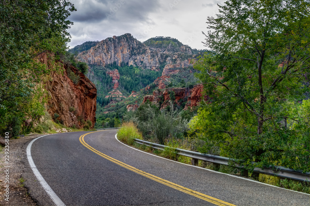 Fototapeta premium Fall for Sedona