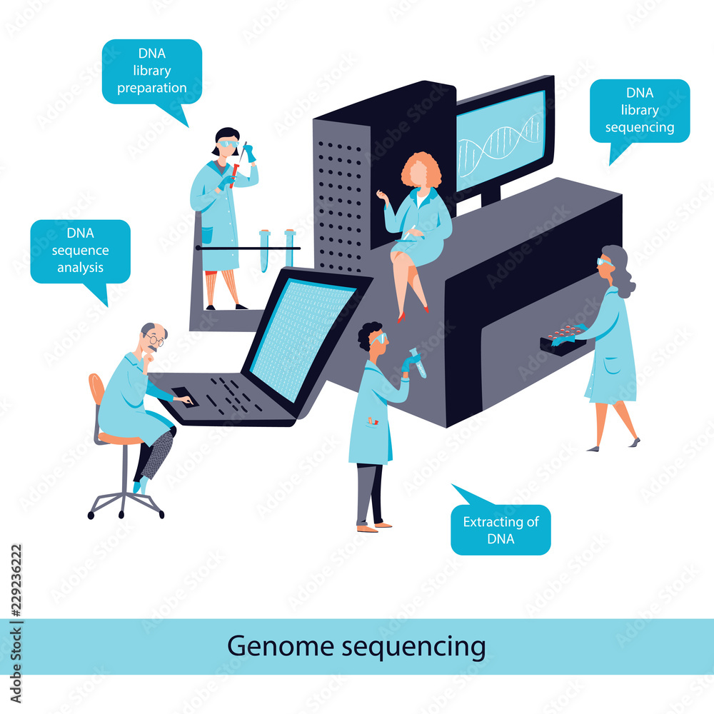 Genome sequencing vector concept, DNA test steps Genome sequencing vector concept, DNA test steps
