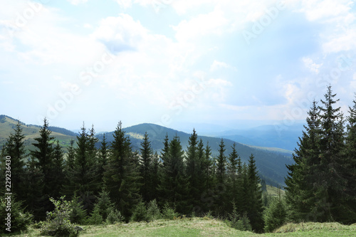 Fototapeta Naklejka Na Ścianę i Meble -  Beautiful landscape with forest and mountain slopes