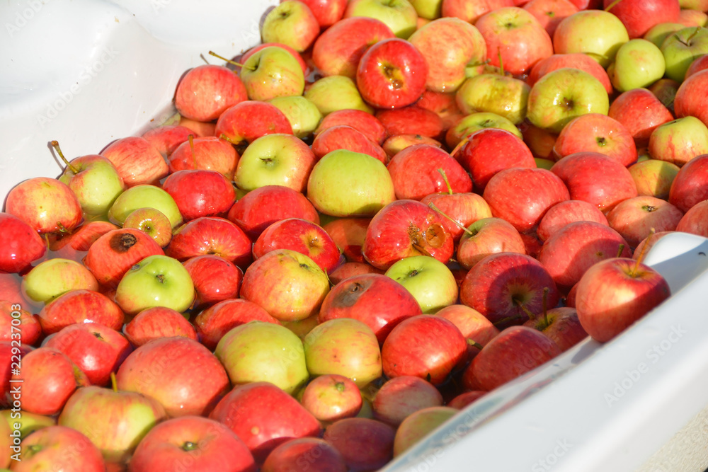 The pile of apples The pile of apples