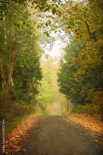 Country Road in Autumnal Colors. Country Road in Autumnal Colors.