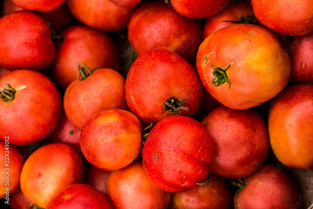 Pomidory Tomatoes Culinary Food Vegetables Pomidory Tomatoes Culinary Food Vegetables