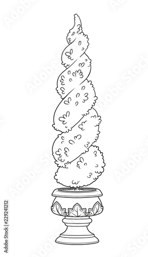 Figure-trimmed bush in a garden flowerpot outlined for coloring