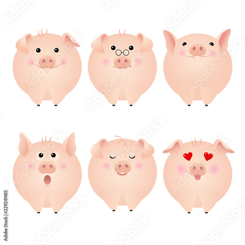 Funny pig stickers